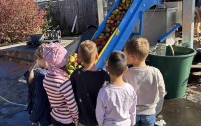 Nachhaltigkeit und Regionalität – Apfelsammelaktion in der Barumer AWO Kita!